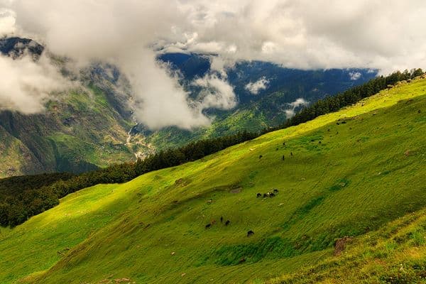 Gorson Bugyal Photo 2