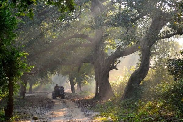 Jim Corbett National Park Photo 0