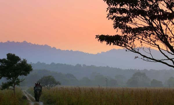 Jim Corbett National Park Photo 3