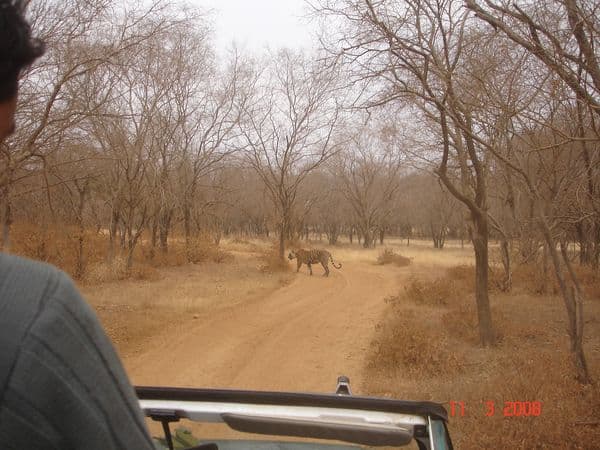 Jim Corbett National Park Photo 5