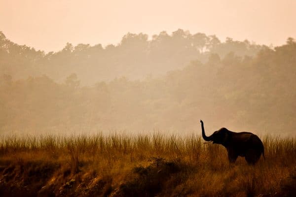 Jim Corbett National Park Photo 7
