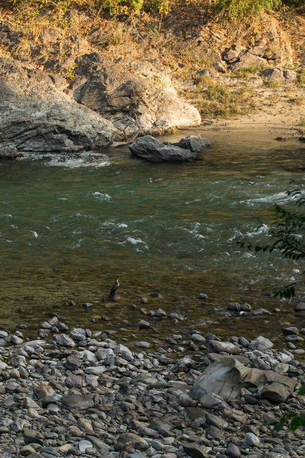 Jim Corbett National Park Photo 8