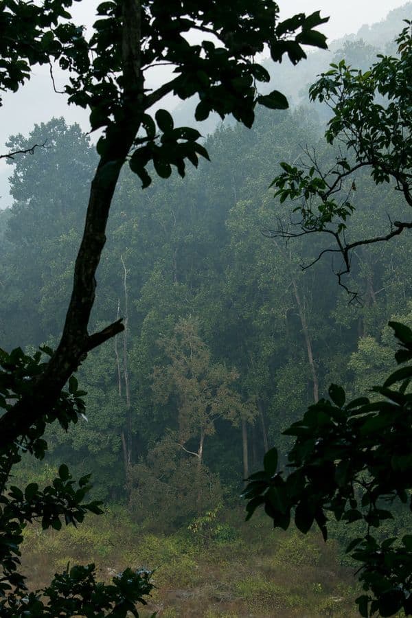 Jim Corbett National Park Photo 9