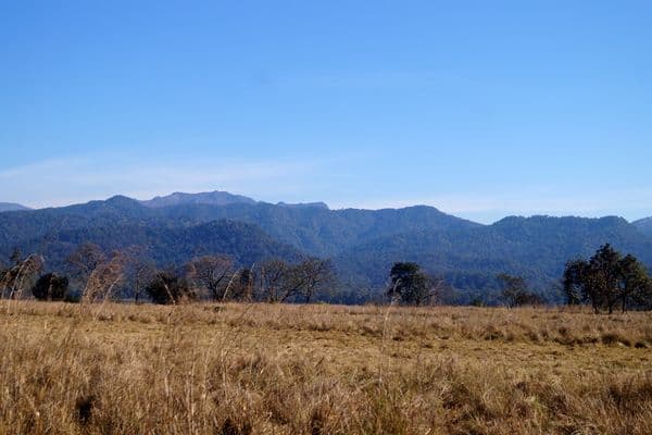 Jim Corbett National Park Photo 10