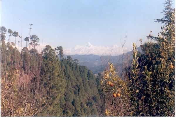 Mukteshwar Photo 3