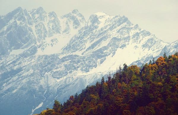 Nanda Devi National Park Photo 0