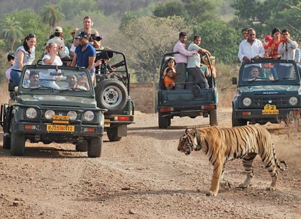 Rajaji National Park Photo 8
