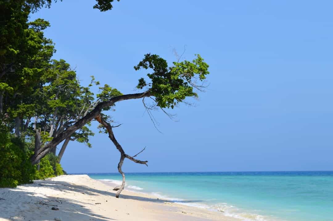 12 Must-Visit Islands in Andaman: Your Ultimate Paradise Guide