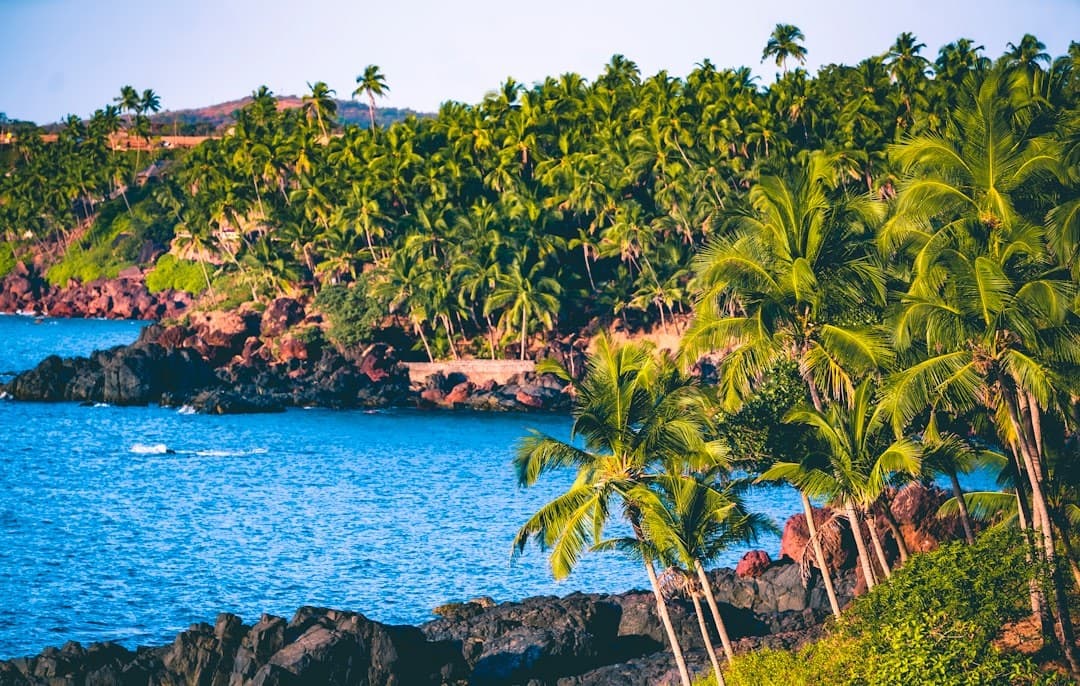 15 Must-Visit Attractions in Goa: Your Ultimate Travel Guide