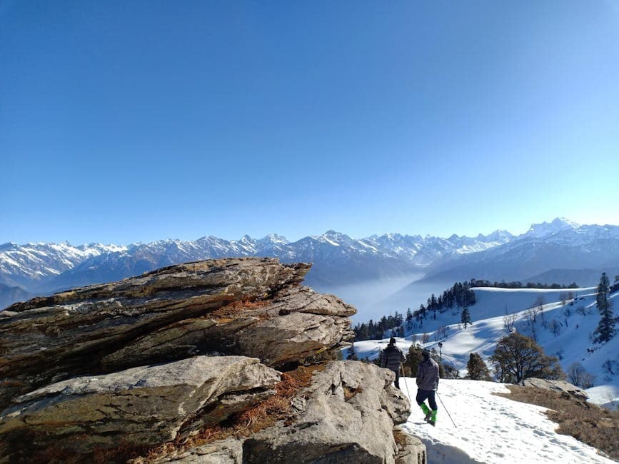 Dayara Bugyal Trek: A Complete Guide to Alpine Meadow Trekking