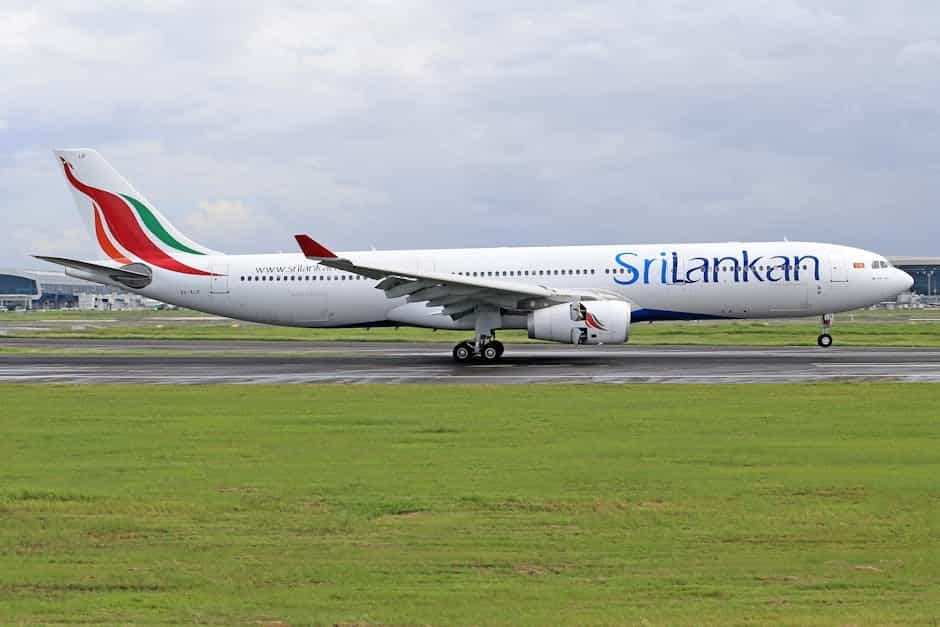 How to Reach Sri Lanka from India: Flights, Ferry & Cruise Guide 2026