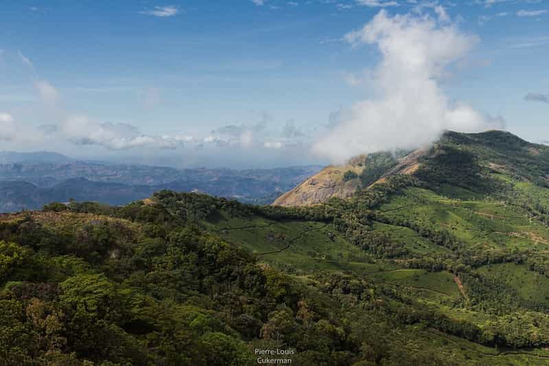 Kerala's 12 Best Viewpoints and Scenic Lookout Points (2026 Guide)