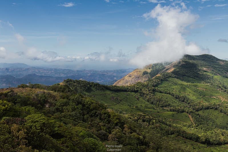 Kerala's 12 Best Viewpoints and Scenic Lookout Points (2026 Guide)