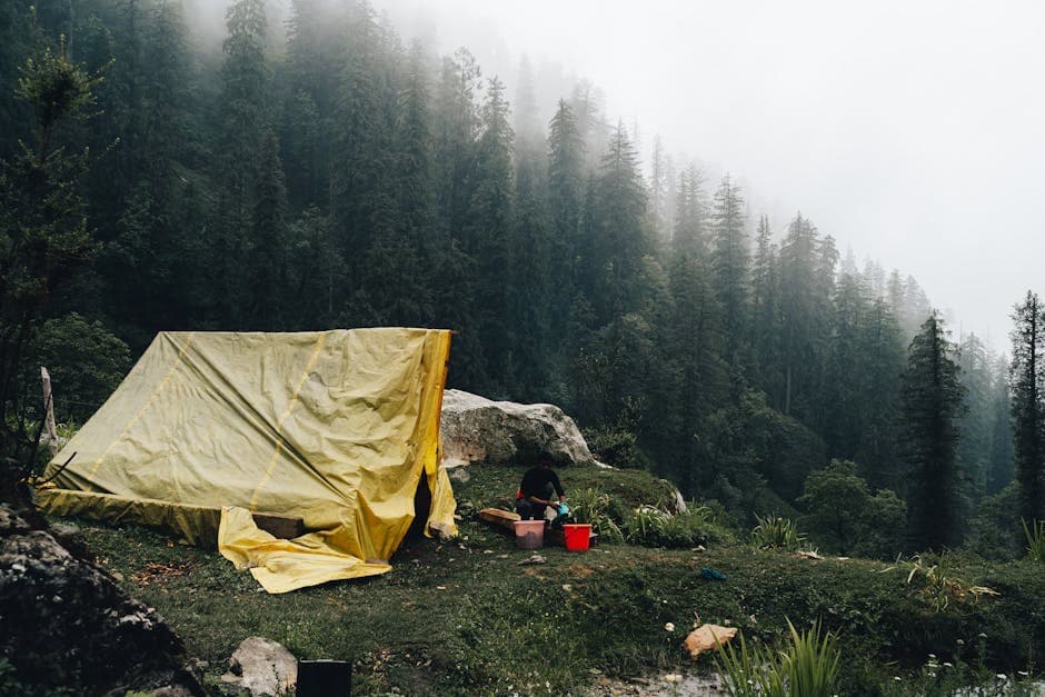 Kheerganga Trek: A Complete Guide for Hot Spring Lovers in Parvati Valley