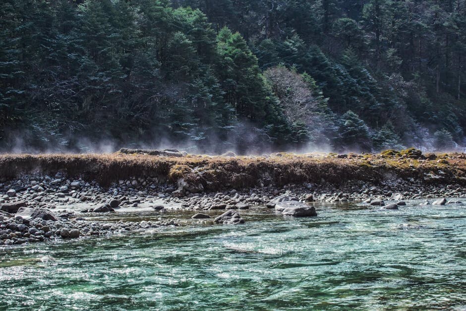 Sikkim's Green Revolution: Your Guide to Responsible Travel