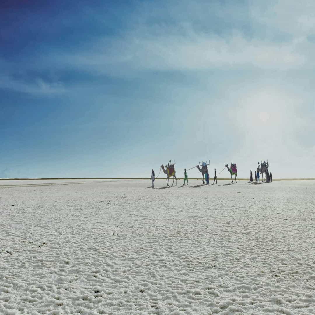 What Is the Significance of the Rann of Kutch? A Complete Guide