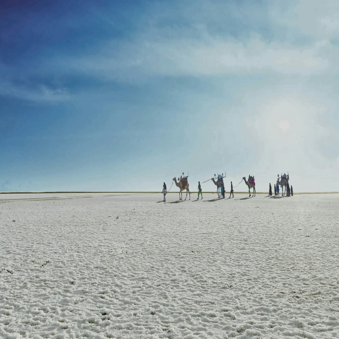 What Is the Significance of the Rann of Kutch? A Complete Guide