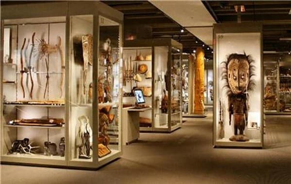 Anthropological Museum visit Anthropological Museum visit
