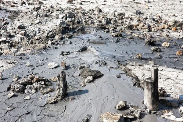 Visit Baratang mud volcano Photo 2