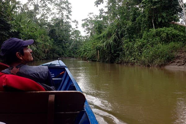 Mangrove boat ride at Baratang Mangrove boat ride at Baratang