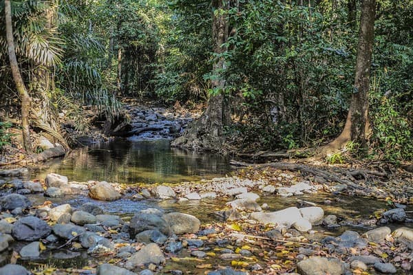 Saddle Peak trek Photo 3
