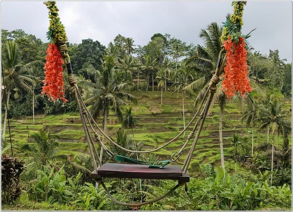 Tegalalang Rice Terrace walk Photo 2