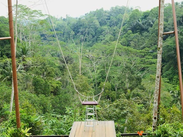 Bali Swing experience Photo 1