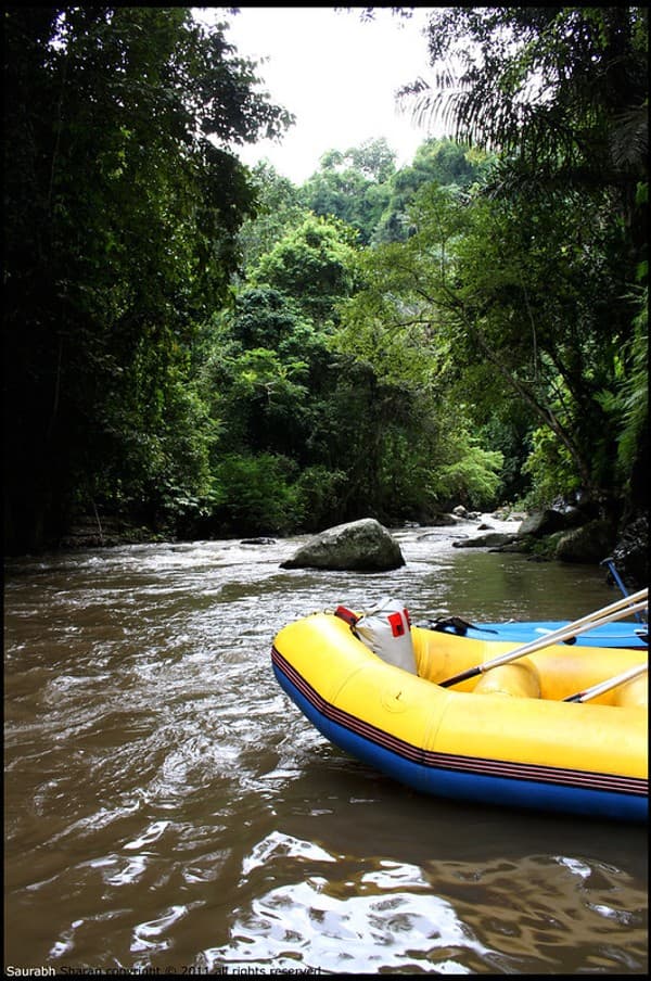 Ayung River white-water rafting Photo 3