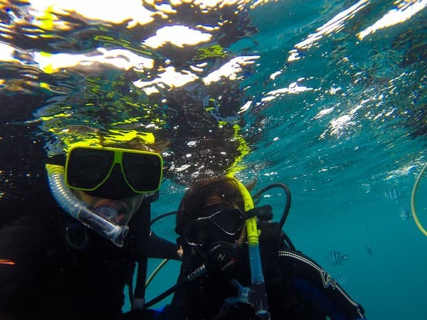 Manta ray snorkel/dive at Manta Point Photo 1