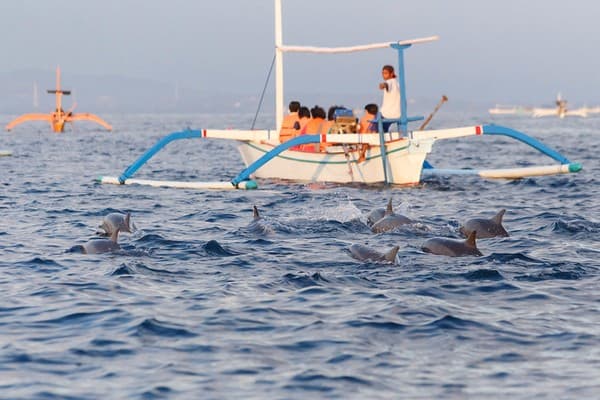 Dolphin watching cruise at Lovina Photo 1