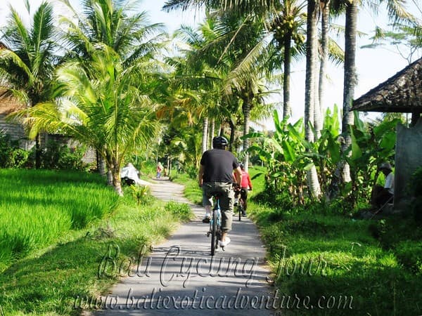 Countryside cycling through rice paddies Photo 2
