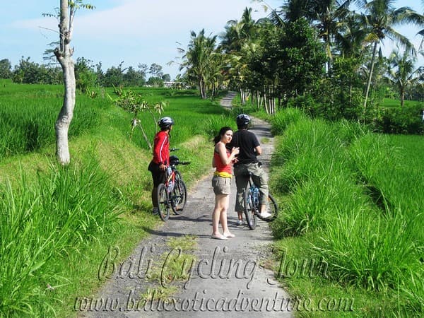 Countryside cycling through rice paddies Photo 1
