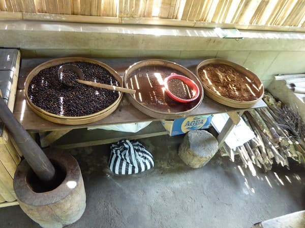 Coffee plantation tour & tasting Photo 1