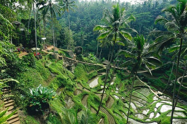 Coffee plantation tour & tasting Photo 3