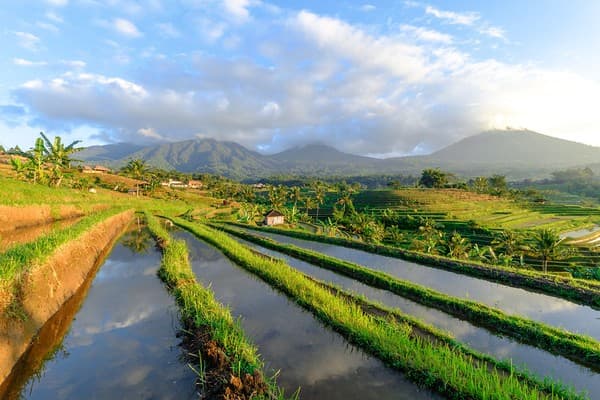 Good morning Jatiluwih Rice Terraces, Bali, Indonesia Good morning Jatiluwih Rice Terraces, Bali, Indonesia