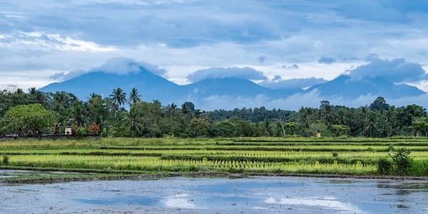 Mount Batukaru, Bali Mount Batukaru, Bali