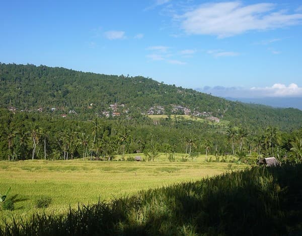 Bali-Munduk-Rizieres (9) Bali-Munduk-Rizieres (9)