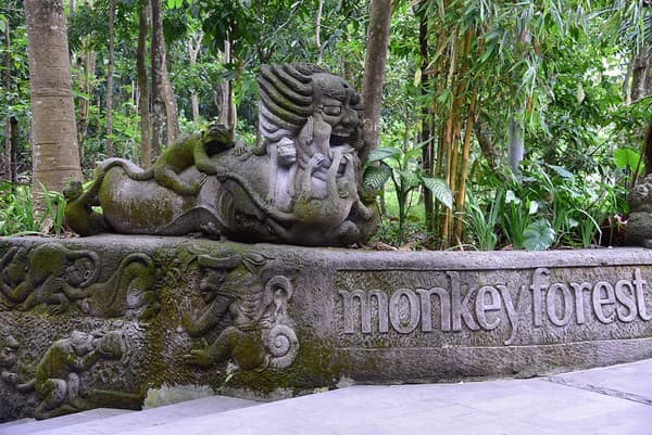 The Sacred Monkey Forest actually starts here The Sacred Monkey Forest actually starts here