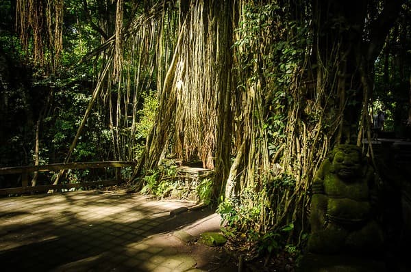 Sacred Monkey Forest Ubud Sanctuary Sacred Monkey Forest Ubud Sanctuary