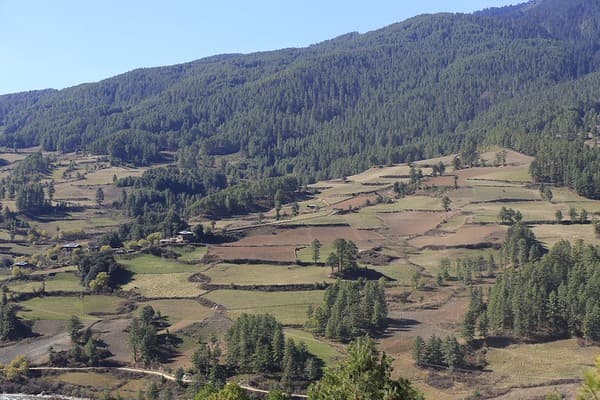 Tang Valley Tang Valley