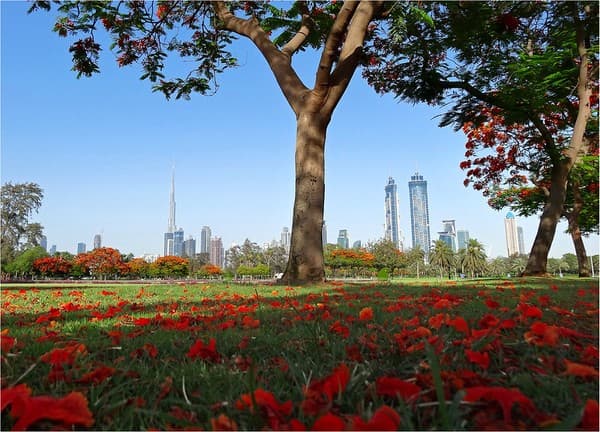 DUBAI - Safa Park DUBAI - Safa Park