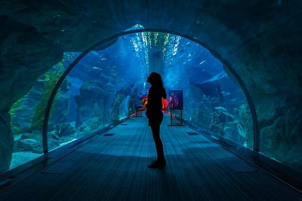 Deep Dive Dubai Photo 2