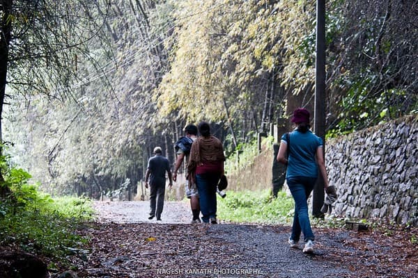 Birdwatching at Salim Ali Bird Sanctuary Birdwatching at Salim Ali Bird Sanctuary