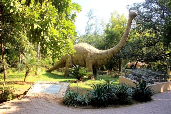 Indroda Nature Park (Dinosaur and Fossil Park) Indroda Nature Park (Dinosaur and Fossil Park)