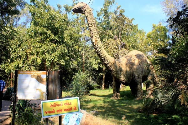 Indroda Dinosaur and Fossil Park, Gandhinagar Indroda Dinosaur and Fossil Park, Gandhinagar