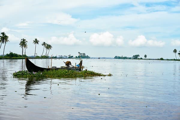 Shikara ride and backwater village tour Photo 2
