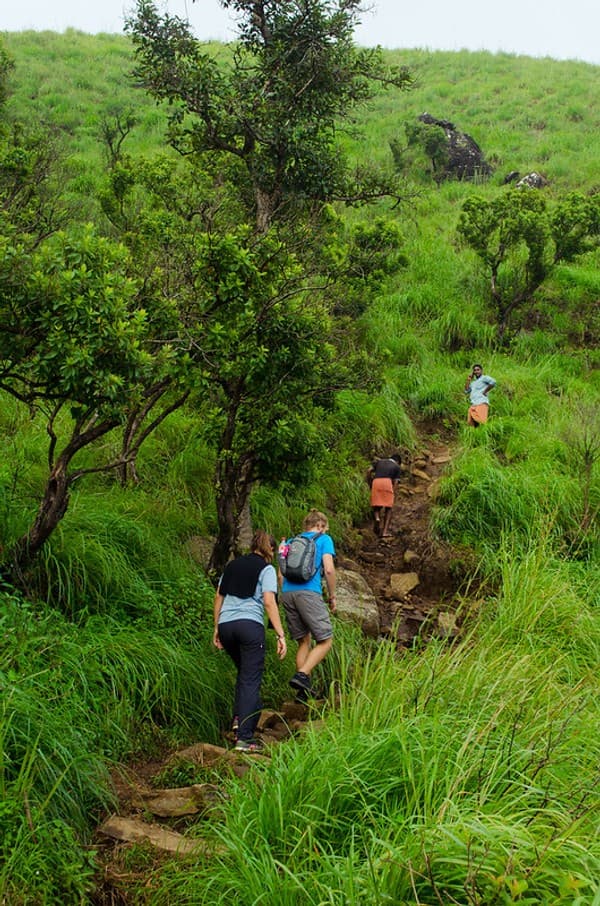 Chembra Peak trek (Heart Lake) Photo 3