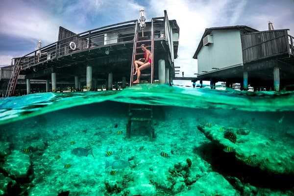 House-reef snorkeling from your villa/guesthouse Photo 2