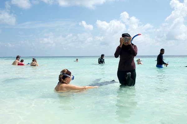 Snorkelling in Baa Atoll UNESCO Biosphere Reserve Snorkelling in Baa Atoll UNESCO Biosphere Reserve
