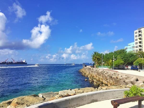 When life gets harder, challenge yourself to be stronger.. #schaax #maldives #photooftheday #rasfannu #followforfollow #sky #love #peace #Germany #England #Russia #Moscow #France #SriLanka #Spain #Brazil #Berlin #Italy #Portugal #trump #Turkish #Turkey #C When life gets harder, challenge yourself to be stronger.. #schaax #maldives #photooftheday #rasfannu #followforfollow #sky #love #peace #Germany #England #Russia #Moscow #France #SriLanka #Spain #Brazil #Berlin #Italy #Portugal #trump #Turkish #Turkey #C